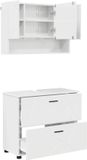 vidaXL Meuble de salle de bain laqué blanc brillant 76,5 x 35 x 64 cm