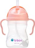 b.box Drinkfles met rietje - Tutti Frutti - 240 ml