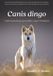 Canis Csiro Publishing Canis dingo: Understanding Australia's Apex Predator