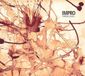 PIAS Nederland Ferran Savall & Jordi Savall - Impro (CD)