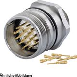 HUMMEL SET, inclusief connectoren M23, signaalapparaat, rechte krimpklem, aantal polen 9 (1+8), pin aan de voorzijde - 1