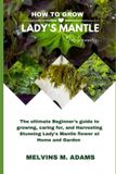 How Libri GmbH How to grow Lady's Mantle flower for beginners