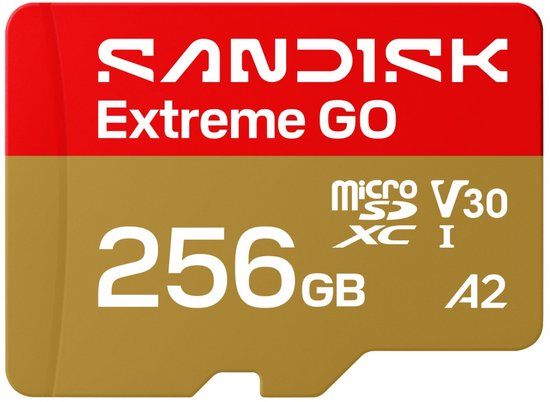 SanDisk microSDXC Extreme GO 256GB