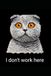 I Don't Work Here Notebook: Scottish Fold Cat Gifts