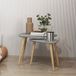 Icecat Ensemble de 2 tables d'appoint gigognes avec pieds en bois, 59,5 x 39,5 x 45 cm et 44,5 x 28,5 x 40 cm, gris et naturel