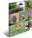 HERMA A4 Vogels Set van 3 Kinderhoekmappen van Karton met Dierenmotief, Elastiek, Binnenkleppen en Binnenopdruk voor Jongens en Meisjes