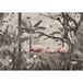Flamants Roses Papier Peint Panoramique - 457 cm x 320 cm