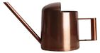 Mini Watering Can with Long Spout for Precision Watering