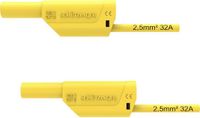Schützinger VSFK 8700 / 2.5 / 100 / GE Veiligheidsmeetsnoer
