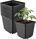 Garronda Set van 10 vierkante kunststof kweekpotten met drainagegaten voor tuin (Zwart, 15 x 15 x 15 cm (2,5L))