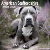 Avonside American Staffordshire Terrier Kalender 2027 Wandkalender Dieren nl