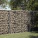 Prolenta Maison Exclusive - Gabion Basket with Lid 150x100x100 cm Galvanized Iron
