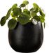 Mica Decorations Plantenpot - keramiek - zwart glans / ribbels - D15 x H16 cm - bloempot Porto