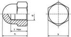 TOOLCRAFT M4 D1587-STAHL:A2K 194787 écrous à six pans creux M4 DIN 1587 Acier zingué 10 pièce(s)