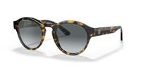 Giorgio Armani 0AR8146 50 587486 Zonnebril, uniseks, volwassenen, meerkleurig, eenheidsmaat