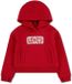 Levi's Kids Meet And Greet Seasonal Hoodie Deep Claret 16 Years Girl