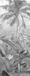 Komar Fotobehang Amazonia Black and White 100x250cm