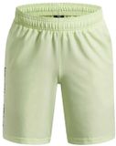 Under Armour Tech Woven Wordmark Korte Broek Groen 18-20 Years Jongen