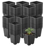 Garronda Set van 200 vierkante kunststof kweekpotten met drainagegaten voor tuin (Zwart, 11 x 11 x 12 cm (1L))