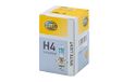 HELLA 8GJ 223 498-121 Gloeilamp