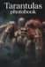 Tarantulas Exotic Spider Photobook: A Cinematic Collection of Macro Wildlife Photography