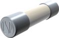 Püschel Feinsicherungen FSUSF3,15A FSUSF3,15A G-zekering-insert (Ø x l) 6.3 mm x 32 mm 3.15 A 500 V Supersnel -FF- Inhoud 10 stuk(s)
