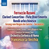 Outhere Naxos Busoni: Clarinet Concerto | Flute Divertimento (CD)