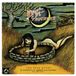 V2 Red Eye Drive By Truckers Fine Print (Clear/Green Splatter Vinyl)