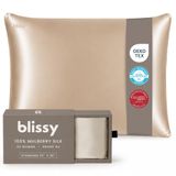 BLISSY Zijden kussensloop - 100% pure moerbeizijde - 22 momme 6A hoogwaardige vezels - satijnen kussensloop voor haar en huid - normaal, koningin en koning met verborgen rits, standaard