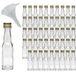mikken 50 mini glazen flessen 20 ml met schroefdop incl. trechter