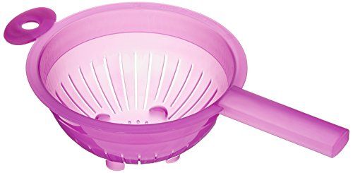Excèlsa Regenboog Seringenreiszeef 19 cm