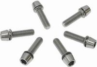 Ritchey - Stuurpen WCS 4-AXIS Vervangingsbouten Titanium 6 Stuks Zilver