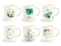 H&H Set 6 Tazze Caffè Porcellana Botanic Senza Piatto Cc90