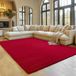 SIMPEX Tapis Rouge 140x200 cm