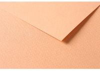 Clairefontaine 960587C Pakket Tulipe Papier