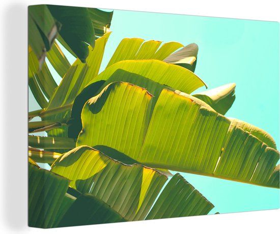 OneMillionCanvasses Canvas schilderij 150x100 cm - Bananenblad - Bladeren - Tropisch - Modern - Multicolor