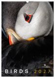 Bekking & Blitz Vogelbescherming Maandkalender 2027