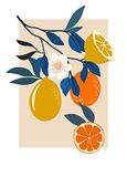 Komar Muurafbeelding - Illustratie Finest Fruits - 50 x 70 cm