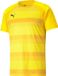 Puma Teamvision Shirt Korte Mouw Heren - Geel