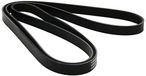 Metzger 5PK1800 DAYCO V-riem