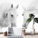 Papier peint panoramique Chevaux