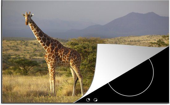 KitchenYeah® Inductie beschermer 77x51 cm - Giraffe - Landschap - Afrika - Inductie beschermer