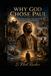 Why God Chose Paul: The Trials, Triumphs, and Purpose of Christianity's Greatest Missionary