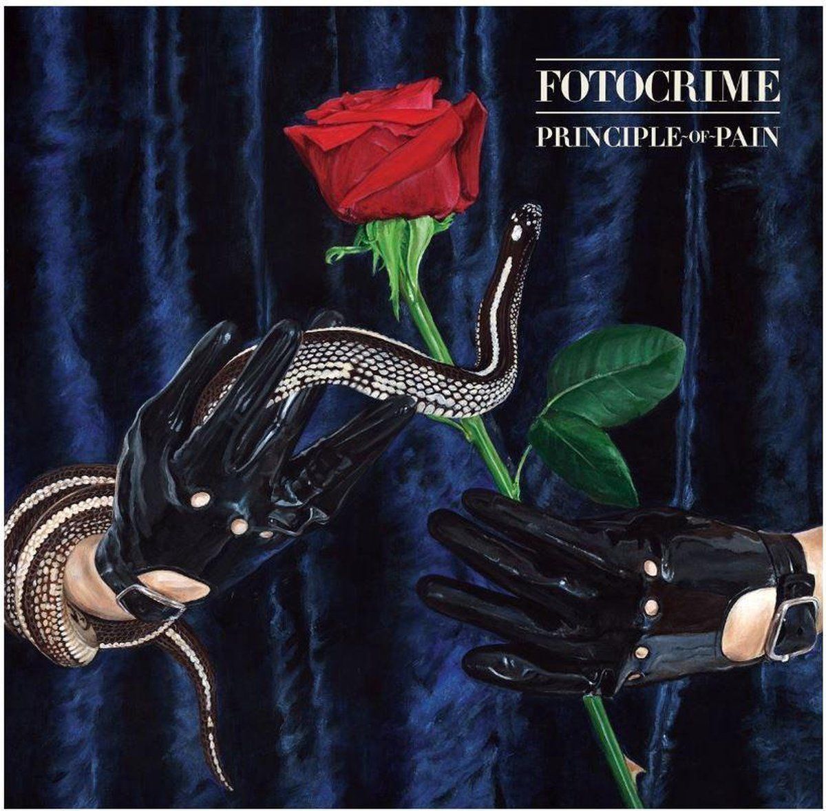 Sonic Principle Of Pain