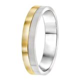 Lucardi Heren Vriendschapsring Parijs - Ring - Vaderdag Cadeautje - Staal - Zilver- en Goudkleurig