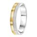Lucardi Heren Vriendschapsring Parijs - Ring - Vaderdag Cadeautje - Staal - Zilver- en Goudkleurig