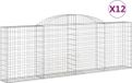 vidaXL Gabions - 12 pièces - voûté - 300x30x100/120 cm - fer