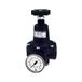 Riegler Drukbegrenzingsventiel, incl. manometer, G 1/2, instelbereik 0,5-10,0 bar, medium/omgevingstemperatuur. Maximale 60 graden Celsius.