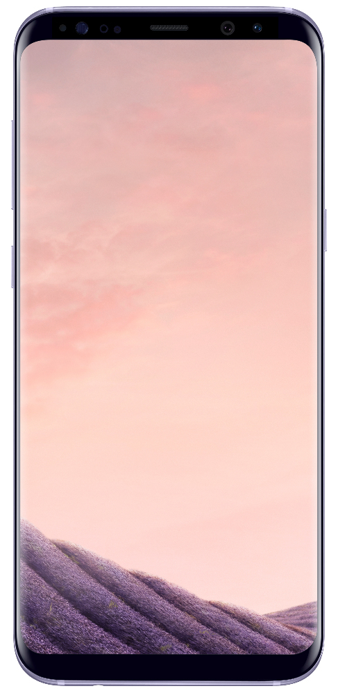 Samsung Galaxy SM-G955F / 64 GB / Grijs