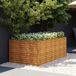 Prolenta Maison Exclusive - Jardinière surélevée en acier Corten, dimensions : 196 x 100 x 69 cm